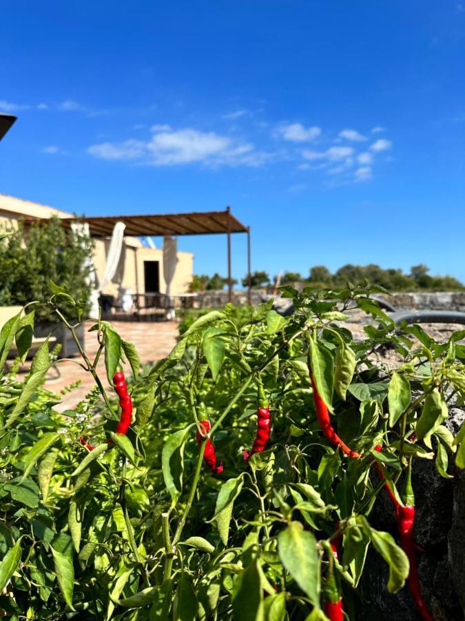 La Cantina Villa Di Campagna Acireale Εξωτερικό φωτογραφία